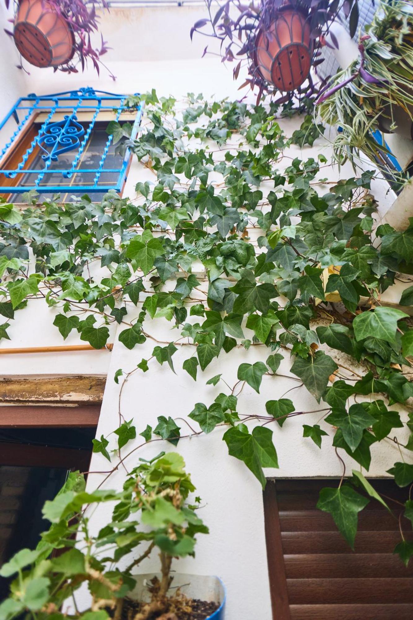 גרנדה Casa El "Tablao De Las Almendras" מראה חיצוני תמונה